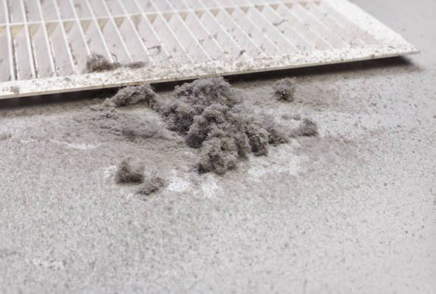 Best Best Air Duct Cleaning Company  in Woodlawn Beach, FL