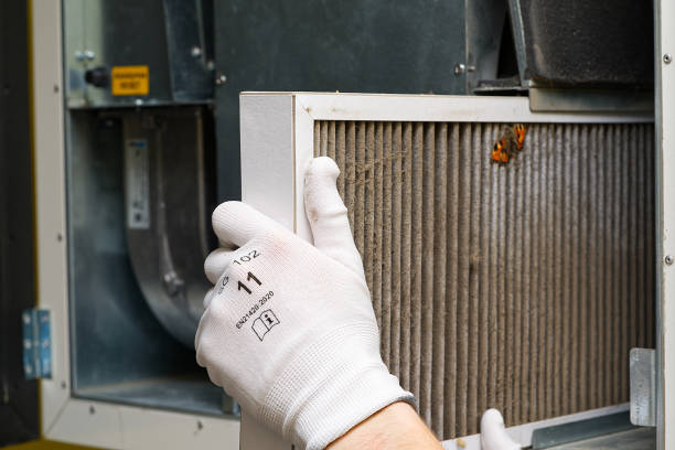 Best Affordable Air Duct Cleaning  in Woodlawn Beach, FL