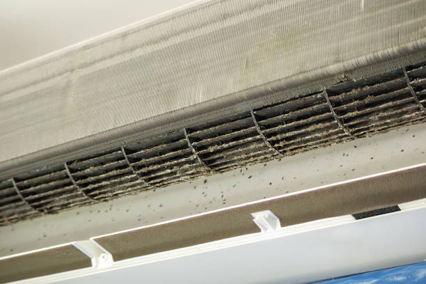 Best Affordable HVAC Duct Cleaning  in Woodlawn Beach, FL
